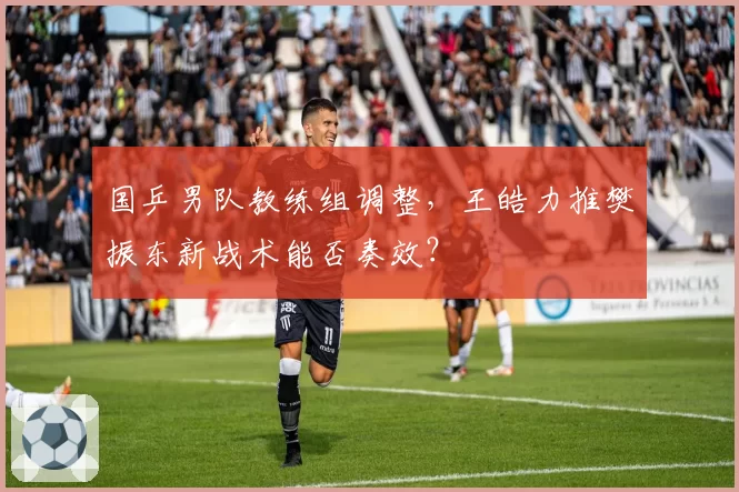 国乒男队教练组调整，王皓力推樊振东新战术能否奏效？